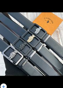 U.S. Polo Assn. Belts - Stylish Teddy Buckle
