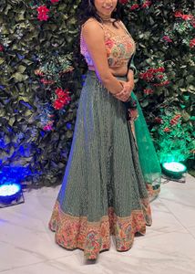 Stunning Embellished Lehenga Choli