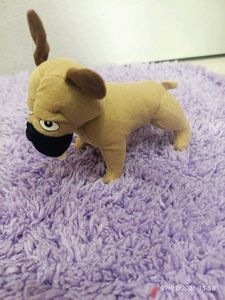 Cute Plush Dog Toy