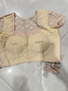 Designer Ethnic saree and Blouse