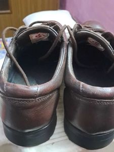 Lee Cooper Brown Leather Shoes Size UK10
