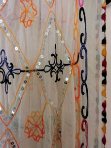 Embellished Dupatta with Sequins