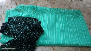 Elegant Saree with Sequined Blouse