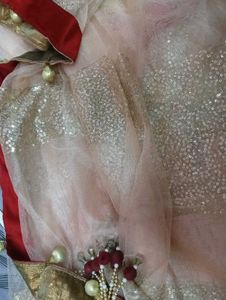 Elegant Sequined Saree