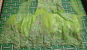 Lime Green Embroidered Anarkali Gown