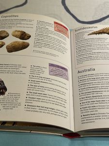 6000 Amazing Facts Book