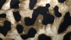 Leopard Print Ruched Long Sleeve Top