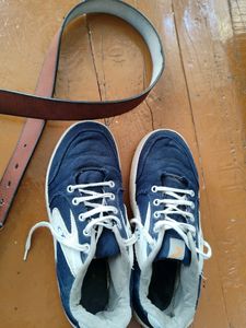 Blue Coasters Sneakers | Shoes