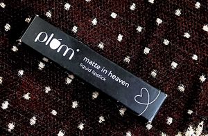Plum Lipstick Combo