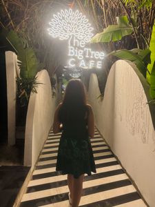 Olive Green Fit &amp; Flare Dress