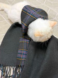 Cozy Plaid Scarf