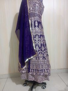 Elegant Embellished gawon