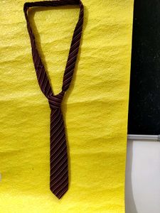 Zodina Striped Burgundy Tie,New Generation Tie👍
