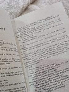 The Stopover by T.L. Swan