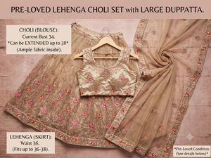 Designer Lehenga Choli Set