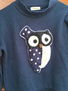 Used Sweatshirt