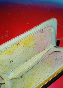 Elegant Clutch