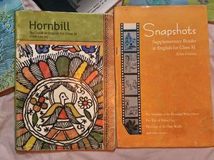 English Book Class 11