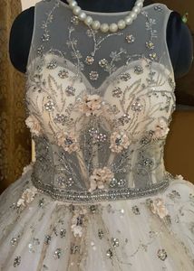 Exquisite Embellished heavy gown