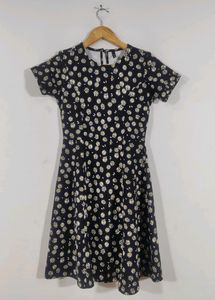 Daisy Print Fit &amp; Flare Dress