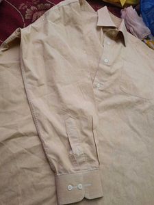 Men's Classic Light Yellow Shirt