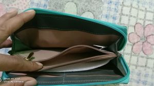 Baggit Brand zipper Clutch
