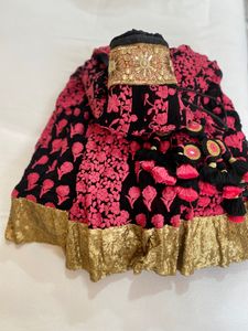 Exquisite Embroidered Lehenga