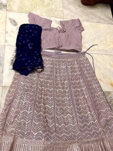 Embroidered Lehenga Choli Set