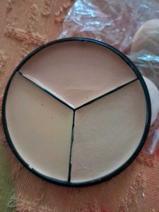 Cover Up Pro Concealer