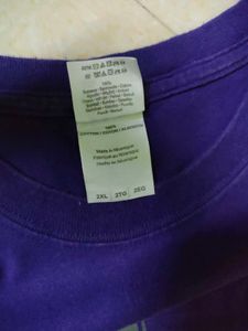 Vintage Gildan Minnesota Green Bay T-Shirt