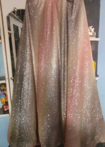 Sparkling Lehenga Choli Set