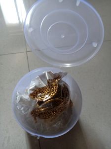 Jewellery Set With Mangtika