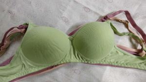 Set of 4 Daily Wear Padded Bra