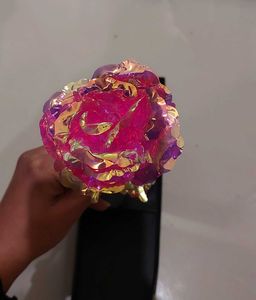 Iridescent Galaxy Rose