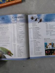 Combo Of Three Books For Children
