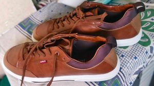 Levis Original Brand New Shoes