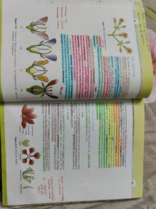 Biology Textbook for Class XI
