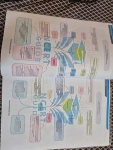 social science mind map quick revision
