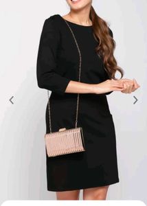 Party Clutch Brand New