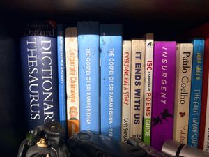 Collection of Popular Fiction Books