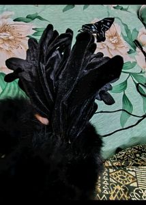 Elegant Black Velvet Gloves