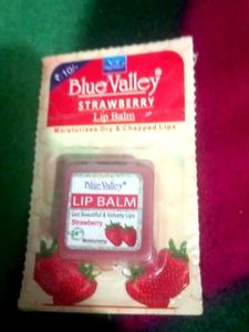 Lip Balm Combo.