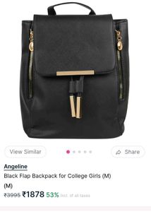 Stylish Black Flap Backpack