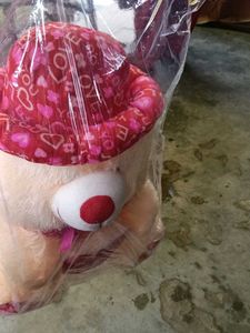 Cute Teddy Bear with Heart Hat