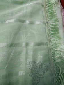Elegant Pastel Green Embellished Saree