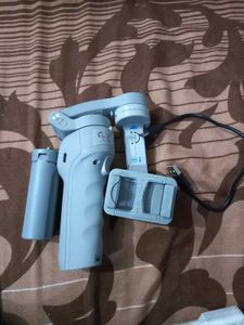 Amazon Bacese  2 Month Old 1 Year Warranty