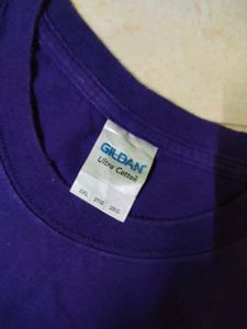 Vintage Gildan Minnesota Green Bay T-Shirt