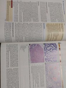 Inderbir Singh's Textbook of Human Histology