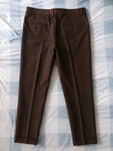 Men's PantStylish Brown Formal