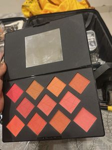 PAC Take Cover Blusher